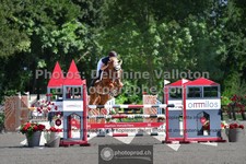 ref. photo 3315300