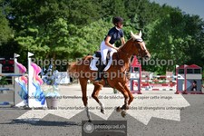 ref. photo 3315303