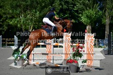 ref. photo 3315411