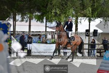ref. photo 3315546