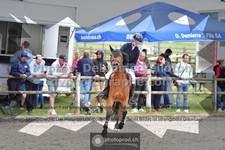 ref. photo 3315611