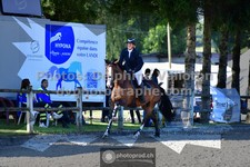 ref. photo 3315896