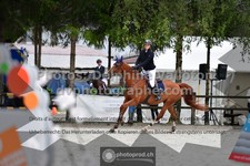 ref. photo 3315906