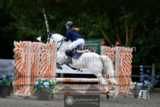 ref. photo 3316114