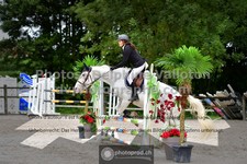 ref. photo 3316152