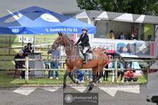ref. photo 3316186