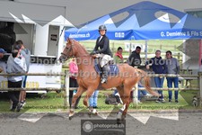 ref. photo 3316238