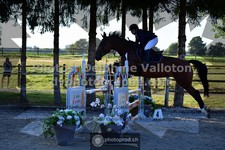 ref. photo 3316338
