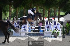 ref. photo 3316634