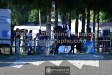 ref. photo 3316669
