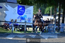 ref. photo 3316993