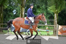 ref. photo 3317007