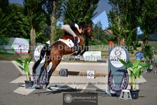 ref. photo 3317039