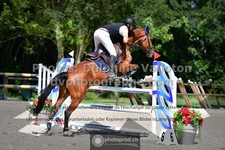 ref. photo 3317112