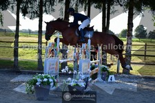 ref. photo 3317395