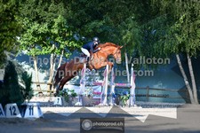 ref. photo 3317398