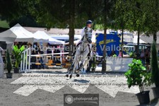ref. photo 3317410