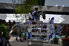 ref. photo 3317411