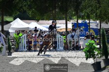 ref. photo 3317455
