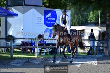 ref. photo 3317474