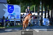 ref. photo 3317524