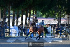 ref. photo 3317733