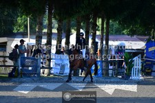 ref. photo 3317769