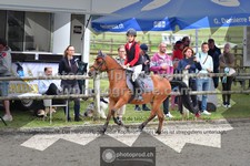 ref. photo 3317908