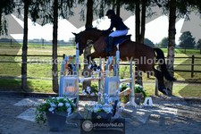 ref. photo 3317948