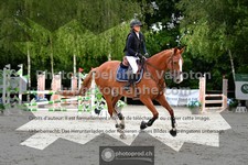 ref. photo 3317958