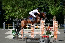 ref. photo 3318000