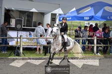 ref. photo 3318022