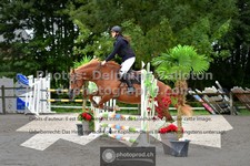 ref. photo 3318099