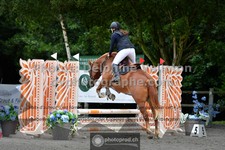 ref. photo 3318100