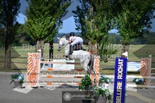 ref. photo 3318181