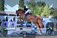 ref. photo 3318206
