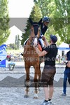 ref. photo 3318485