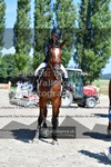 ref. photo 3318735