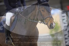 ref. photo 3369303