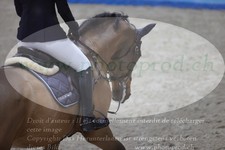 ref. photo 3369337
