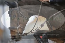 ref. photo 3369391