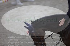 ref. photo 3369406