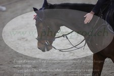 ref. photo 3369407