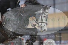 ref. photo 3369562