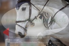 ref. photo 3369922