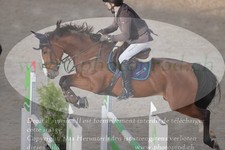 ref. photo 3370121