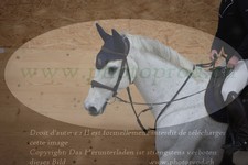 ref. photo 3370159