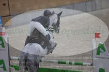 ref. photo 3370174
