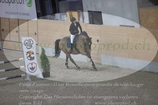 ref. photo 3370486