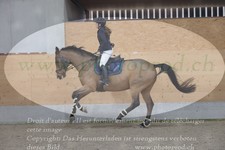 ref. photo 3370496